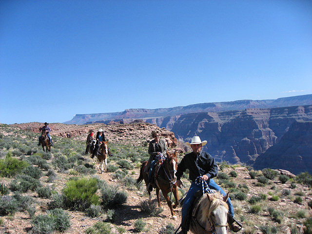 Horse Ride to Grand Canyon