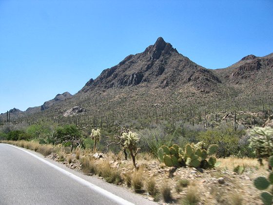 Road To Saguaro National Park