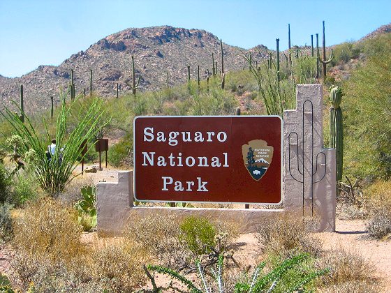  Saguaro National Park Sign