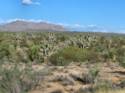 Hwy. 93 N. and Joshua National Forest