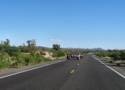Hwy. 93 N. and Joshua National Forest