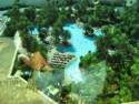 View of Mirage Pool From our Window