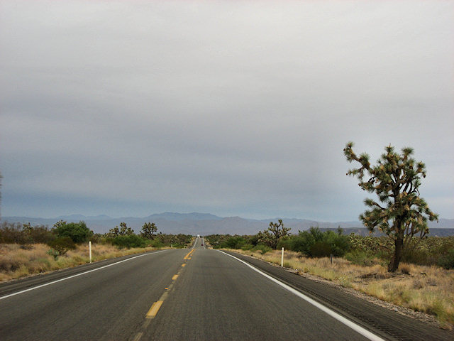 Hwy. 93 N. and Joshua National Forest
