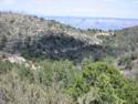 89A Mingus Mountain