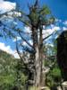 Scenes from Walnut Canyon