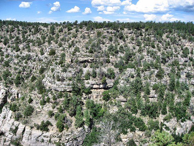 Scenes from Walnut Canyon