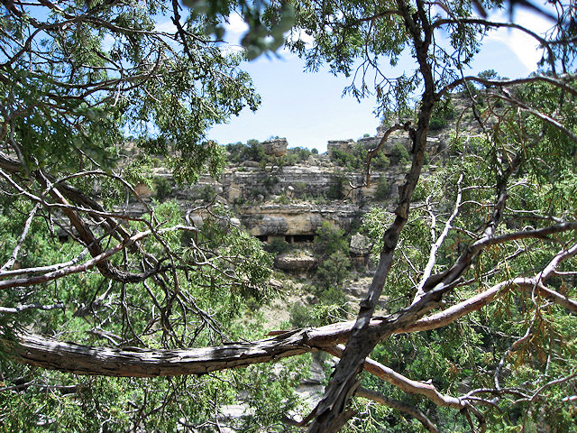 Scenes from Walnut Canyon