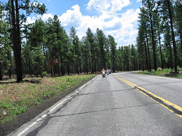 Road to Arizona Snow Bowl Ski Mountain