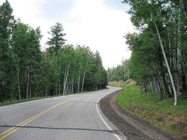 Road to Arizona Snow Bowl Ski Mountain