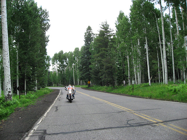 Road to Arizona Snow Bowl Ski Mountain