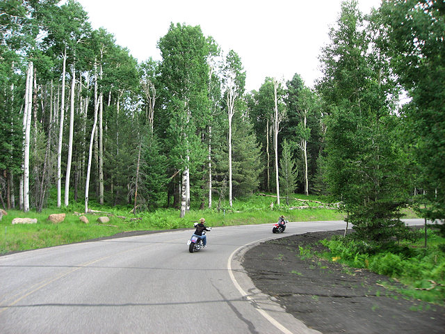 Caraway's and McKinnon's Heading back down the hill.