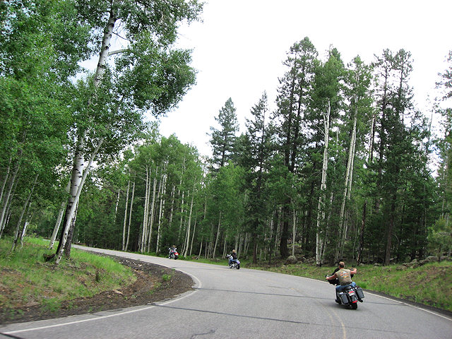 Caraway's and McKinnon's Heading back down the hill.