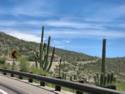 Sky Island Scenic Byway on Catalina Hwy. to Mt. Lemmon