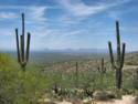 Sky Island Scenic Byway on Catalina Hwy. to Mt. Lemmon