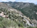 Sky Island Scenic Byway on Catalina Hwy. to Mt. Lemmon