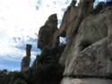 Sky Island Scenic Byway on Catalina Hwy. to Mt. Lemmon