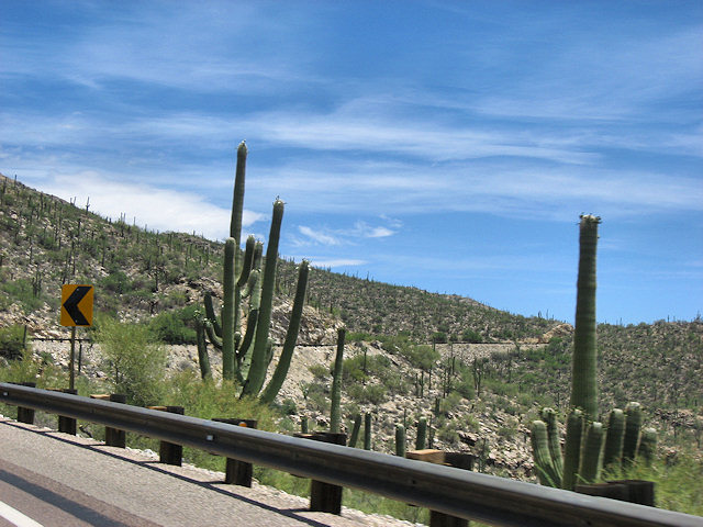 Sky Island Scenic Byway on Catalina Hwy. to Mt. Lemmon