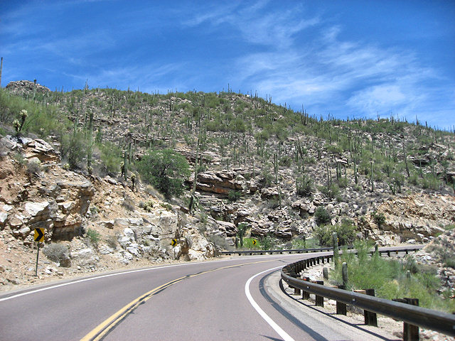 Sky Island Scenic Byway on Catalina Hwy. to Mt. Lemmon