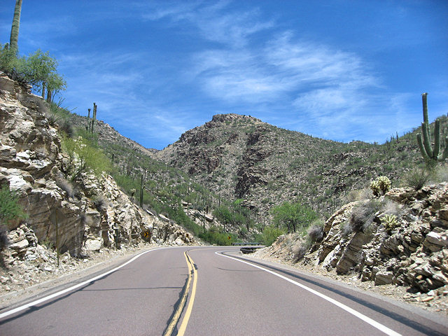 Sky Island Scenic Byway on Catalina Hwy. to Mt. Lemmon