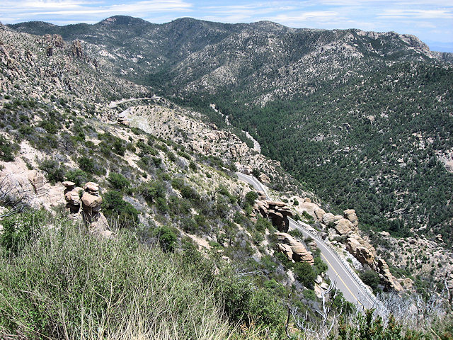 Sky Island Scenic Byway on Catalina Hwy. to Mt. Lemmon