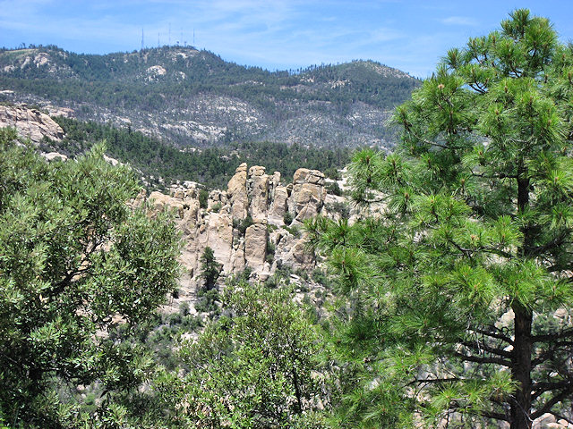 Sky Island Scenic Byway on Catalina Hwy. to Mt. Lemmon