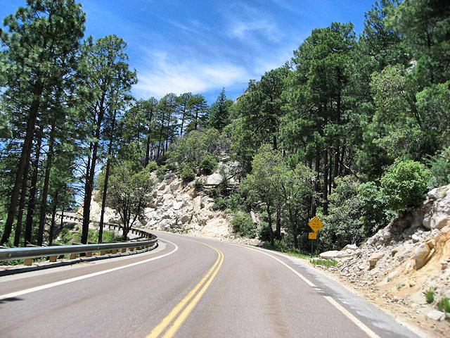 Sky Island Scenic Byway on Catalina Hwy. to Mt. Lemmon