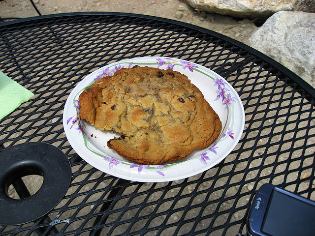 The Chocolate Chip Cookie