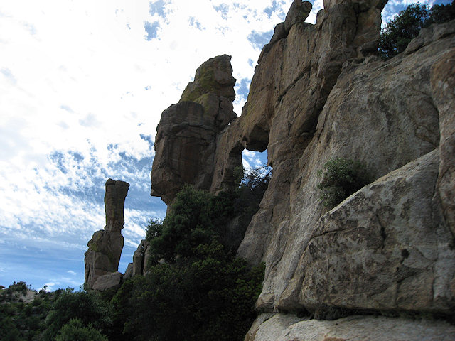 Sky Island Scenic Byway on Catalina Hwy. to Mt. Lemmon