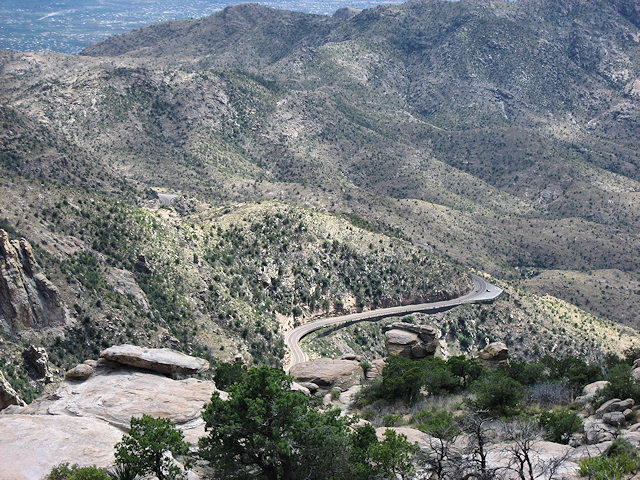 Sky Island Scenic Byway on Catalina Hwy. to Mt. Lemmon