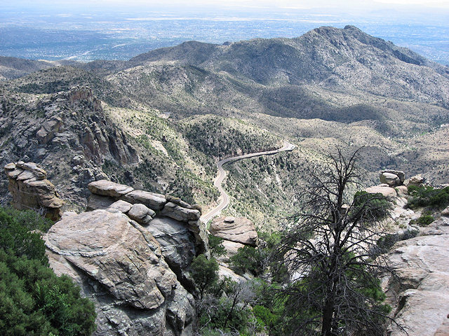 Sky Island Scenic Byway on Catalina Hwy. to Mt. Lemmon