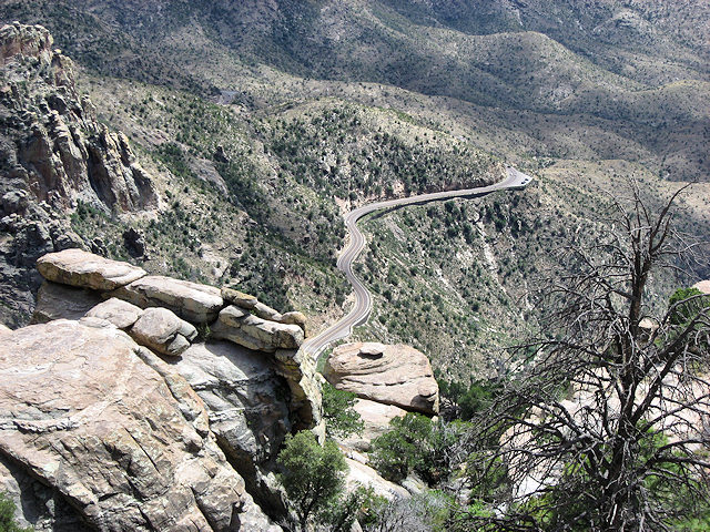 Sky Island Scenic Byway on Catalina Hwy. to Mt. Lemmon