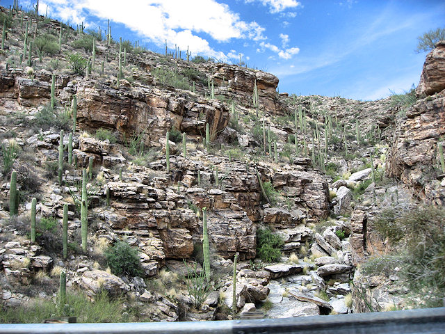 Sky Island Scenic Byway on Catalina Hwy. to Mt. Lemmon
