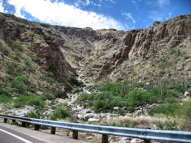 Sky Island Scenic Byway on Catalina Hwy. to Mt. Lemmon