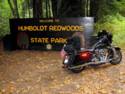 Humboldt Redwoods, CA