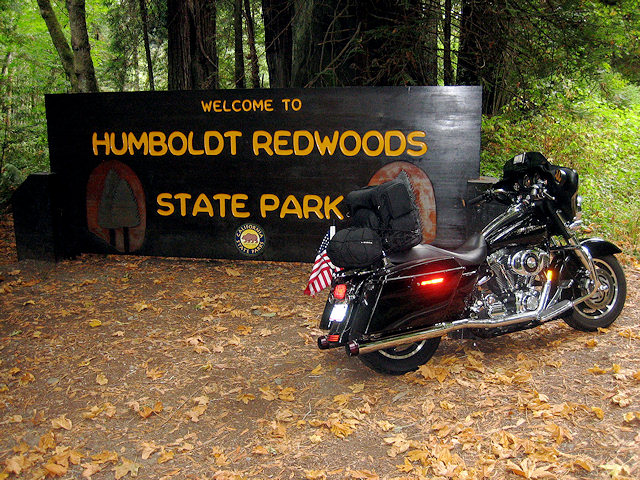 Humboldt Redwoods, CA
