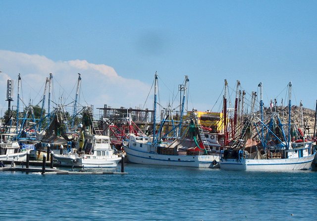 Fishing Boats in Rocky Point