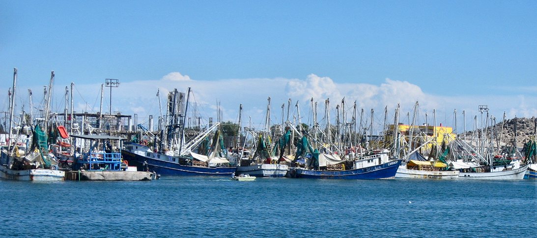 Fishing Boats in Rocky Point
