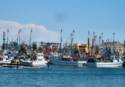 Fishing Boats in Rocky Point