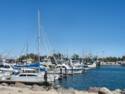 Fishing Boats in Rocky Point