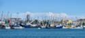 Fishing Boats in Rocky Point