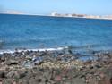 Scenes From Rocky Point