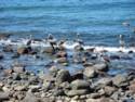 Scenes From Rocky Point