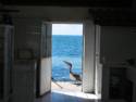 Scenes From Rocky Point