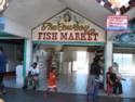 Scenes From Rocky Point