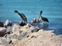 Scenes From Rocky Point