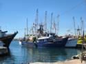 Scenes From Rocky Point