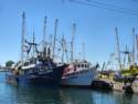 Scenes From Rocky Point