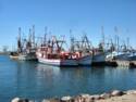 Scenes From Rocky Point