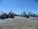 Scenes From Rocky Point