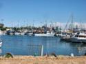 Scenes From Rocky Point
